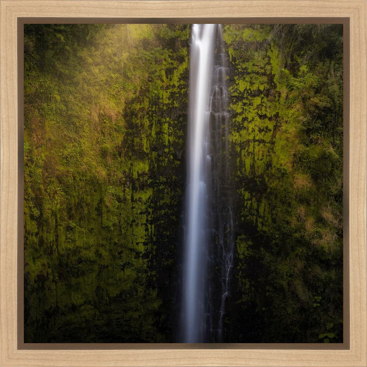 Akaka Falls Aloha Gallery Wrap
