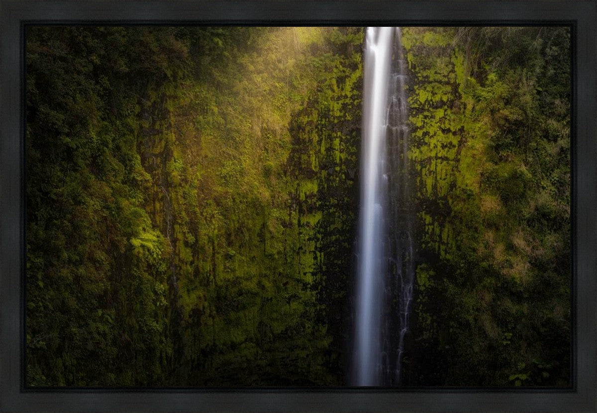 Akaka Falls Aloha Gallery Wrap