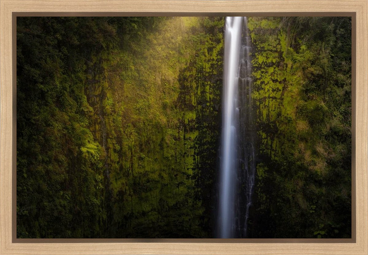 Akaka Falls Aloha Gallery Wrap