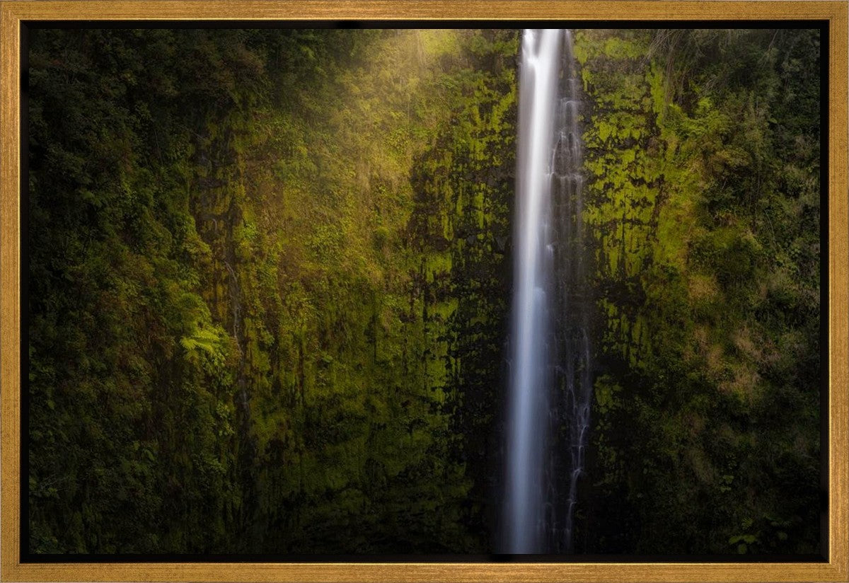 Akaka Falls Aloha Gallery Wrap