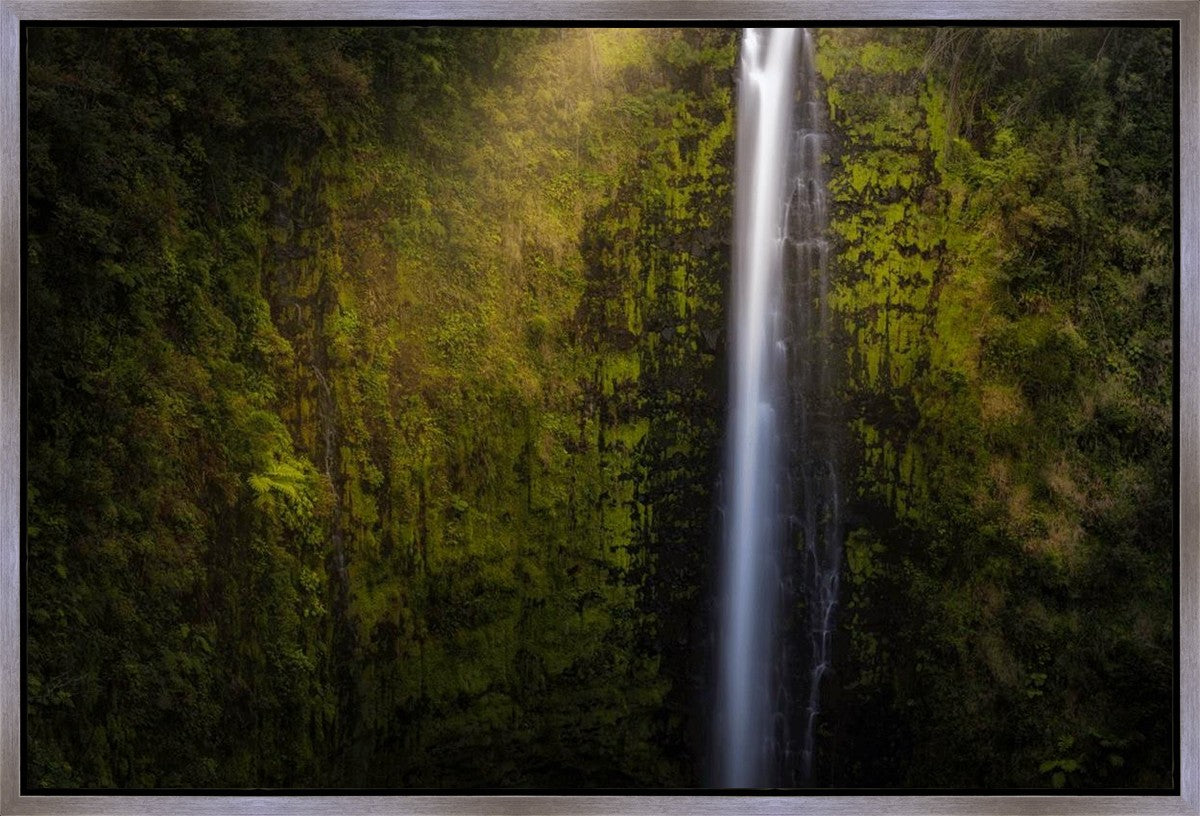 Akaka Falls Aloha Gallery Wrap