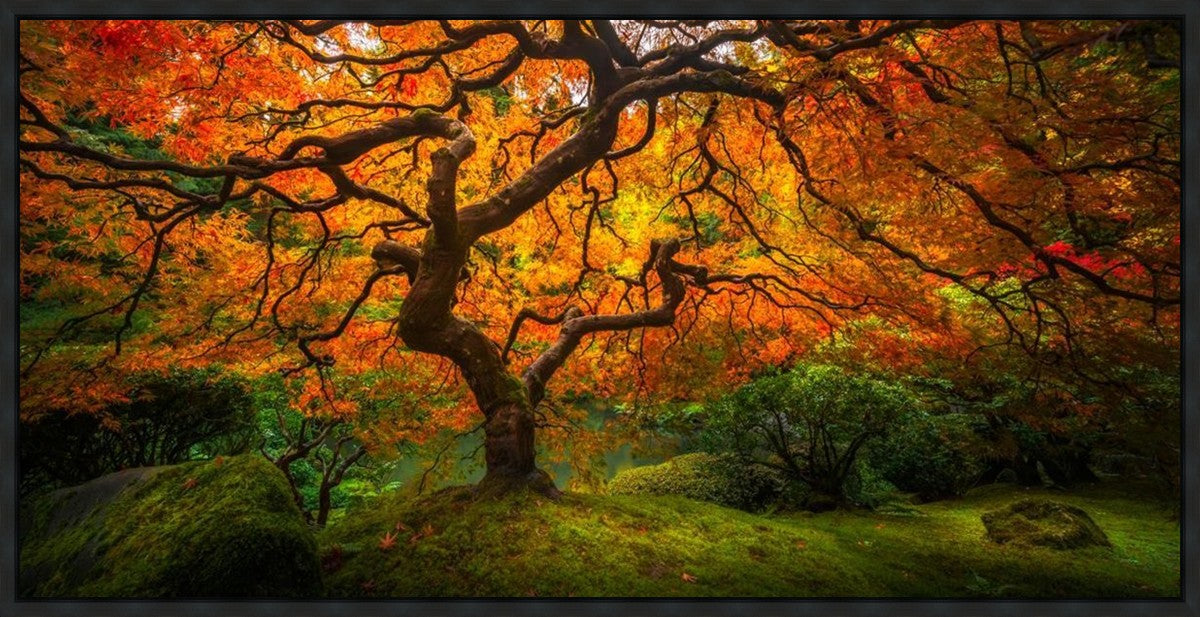 Tree of Perspective Large Wall Art Gallery Wrap