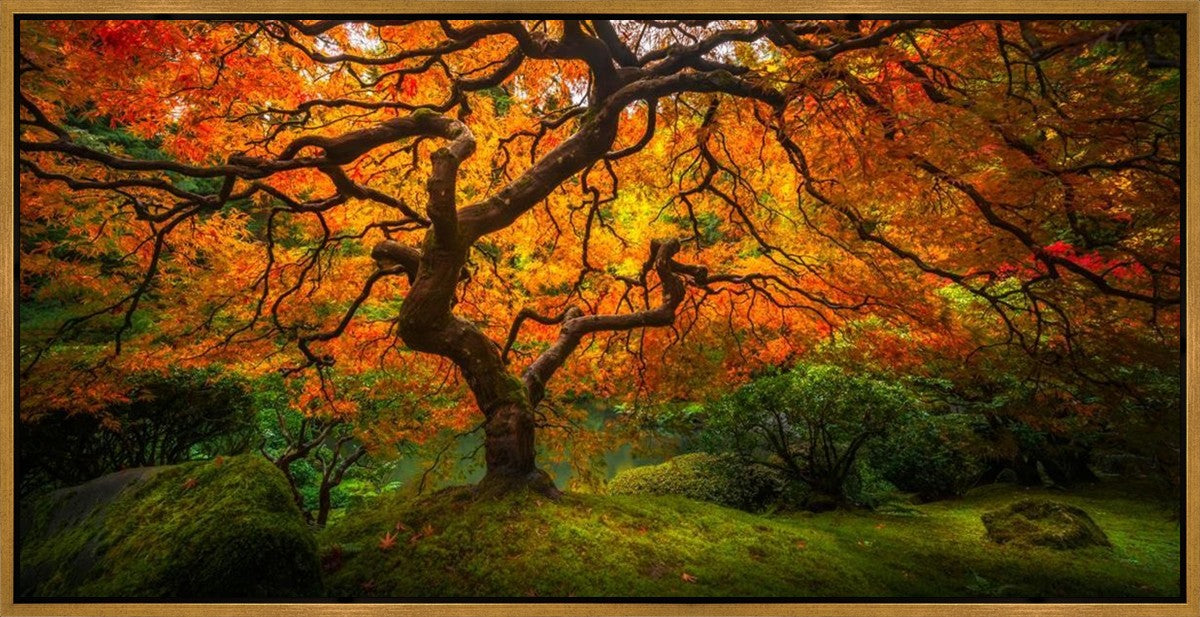 Tree of Perspective Large Wall Art Gallery Wrap