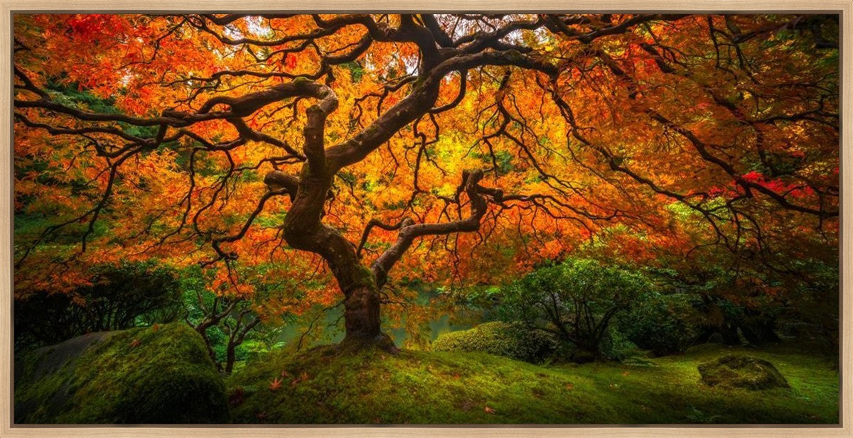 Tree of Perspective Large Wall Art Gallery Wrap