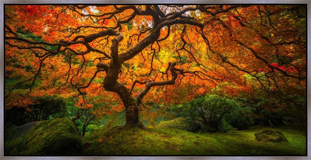 Tree of Perspective Large Wall Art Gallery Wrap
