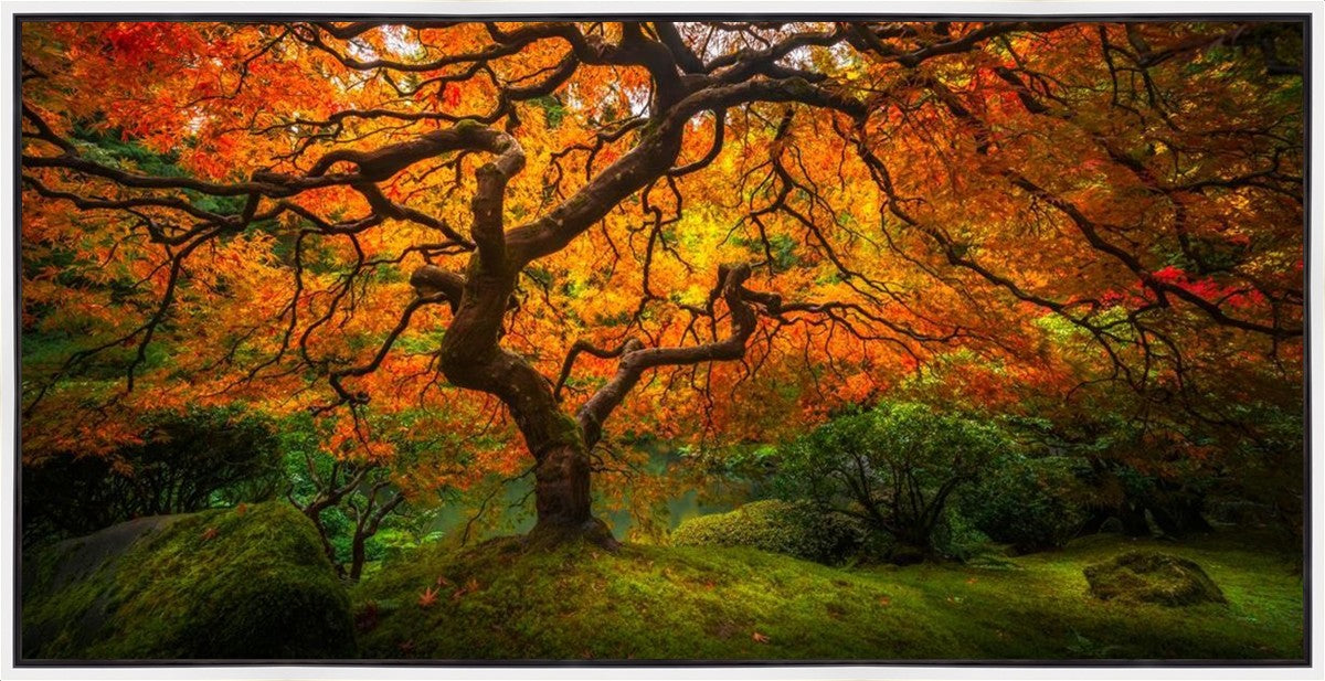 Tree of Perspective Large Wall Art Gallery Wrap