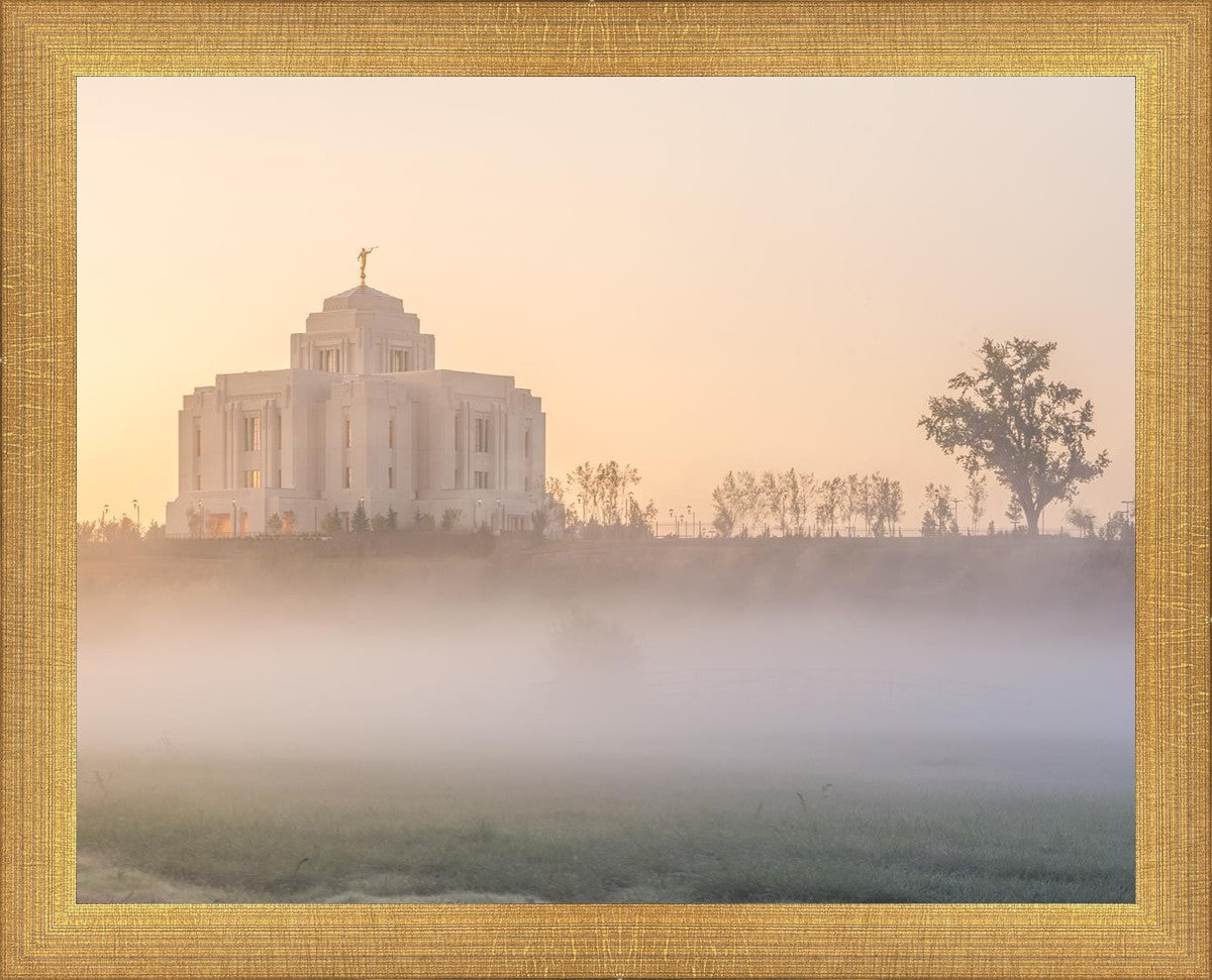 Meridian Morning Fog