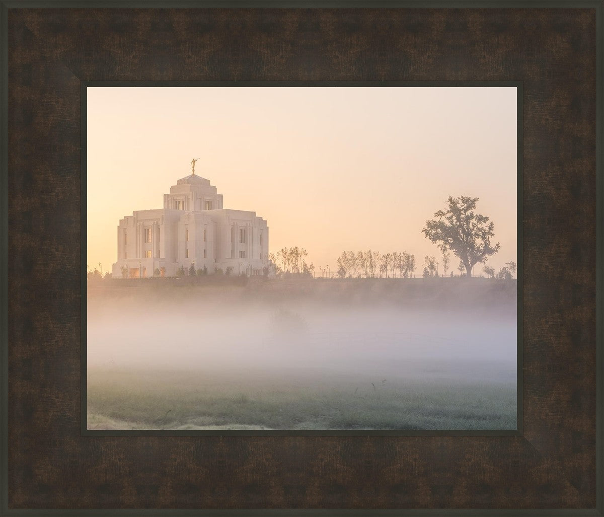 Meridian Morning Fog