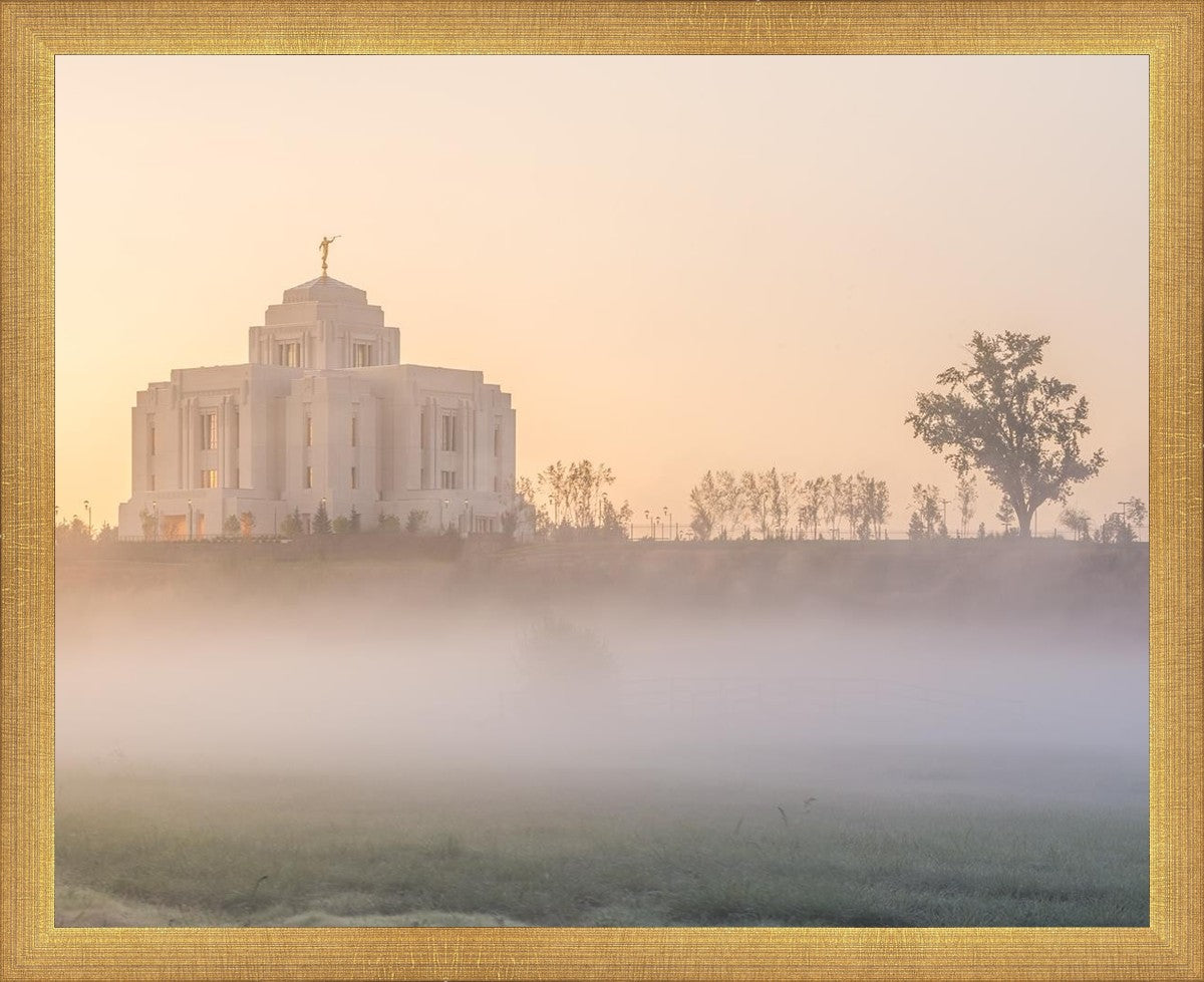 Meridian Morning Fog
