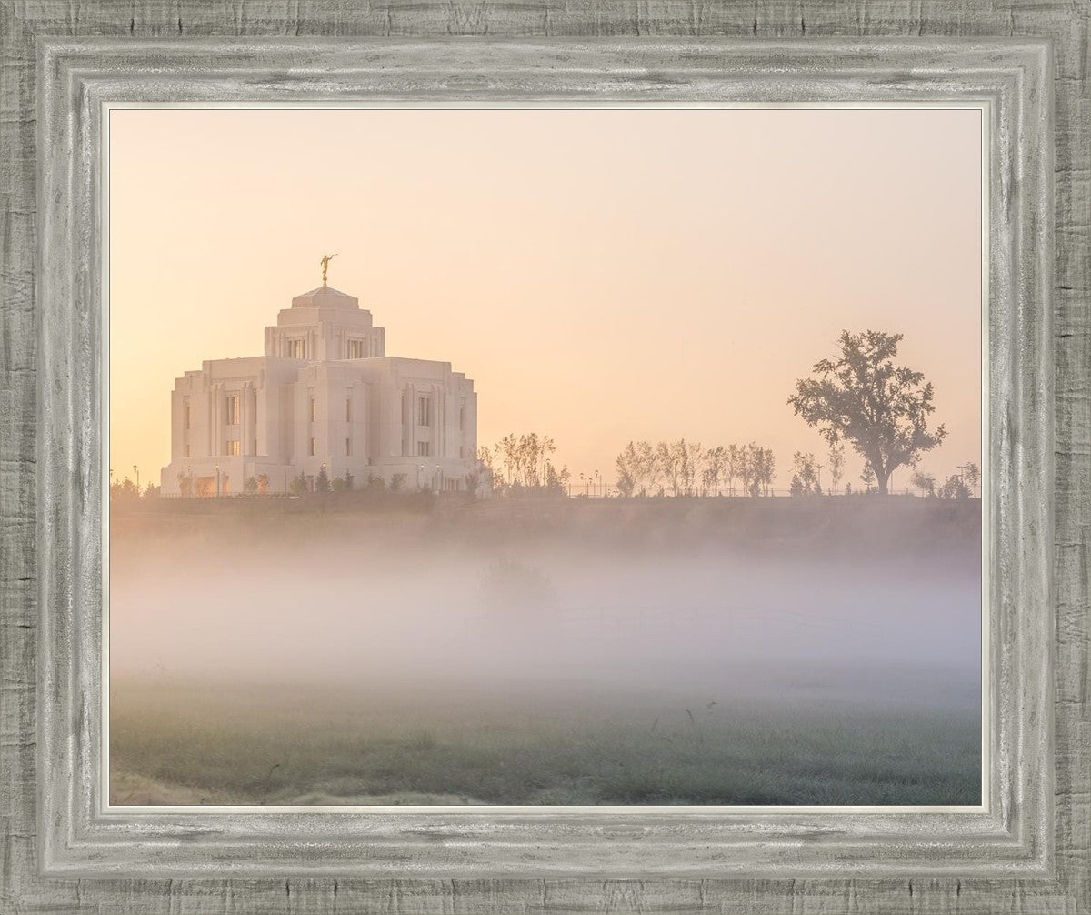 Meridian Morning Fog