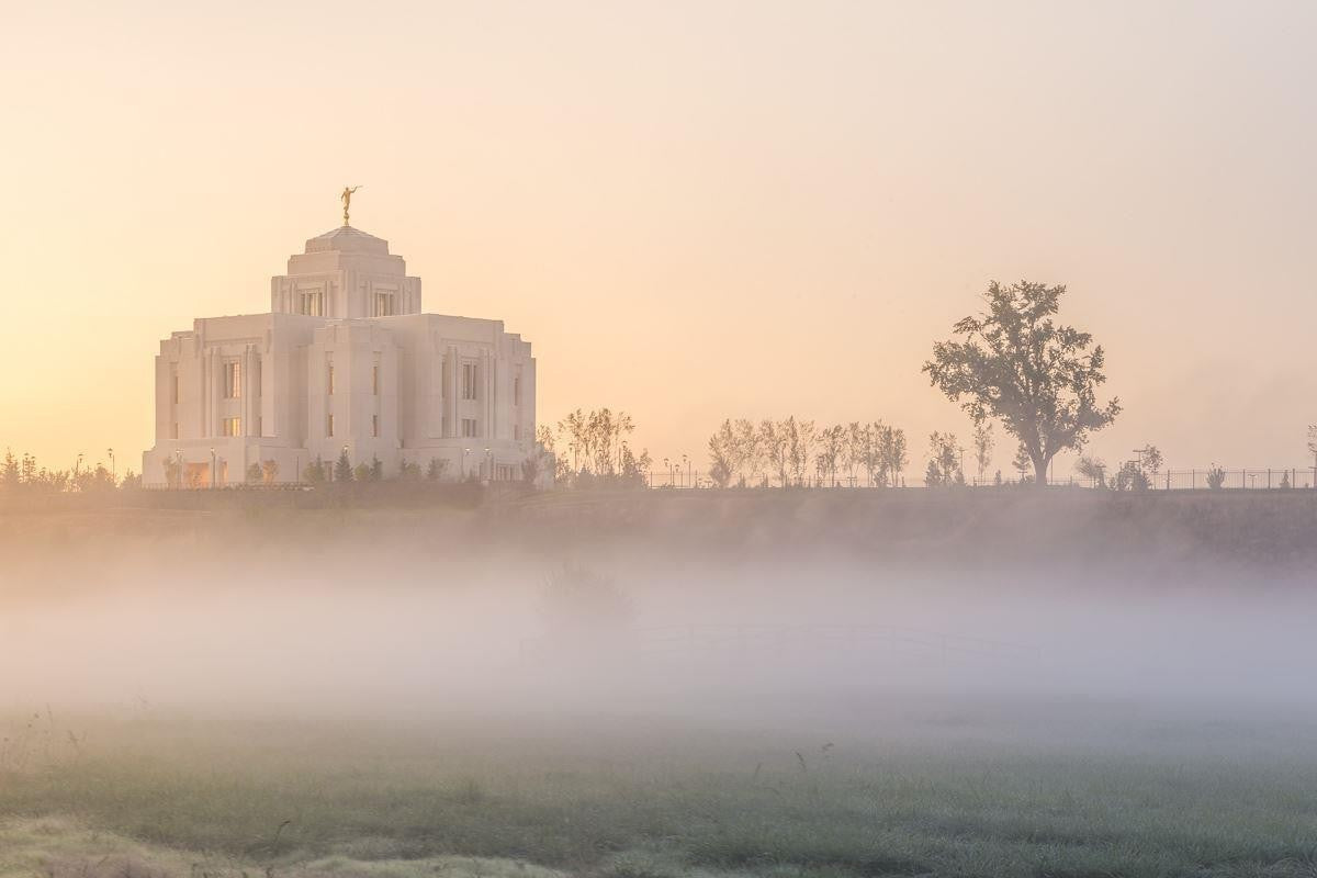 Meridian Morning Fog Gallery Wrap