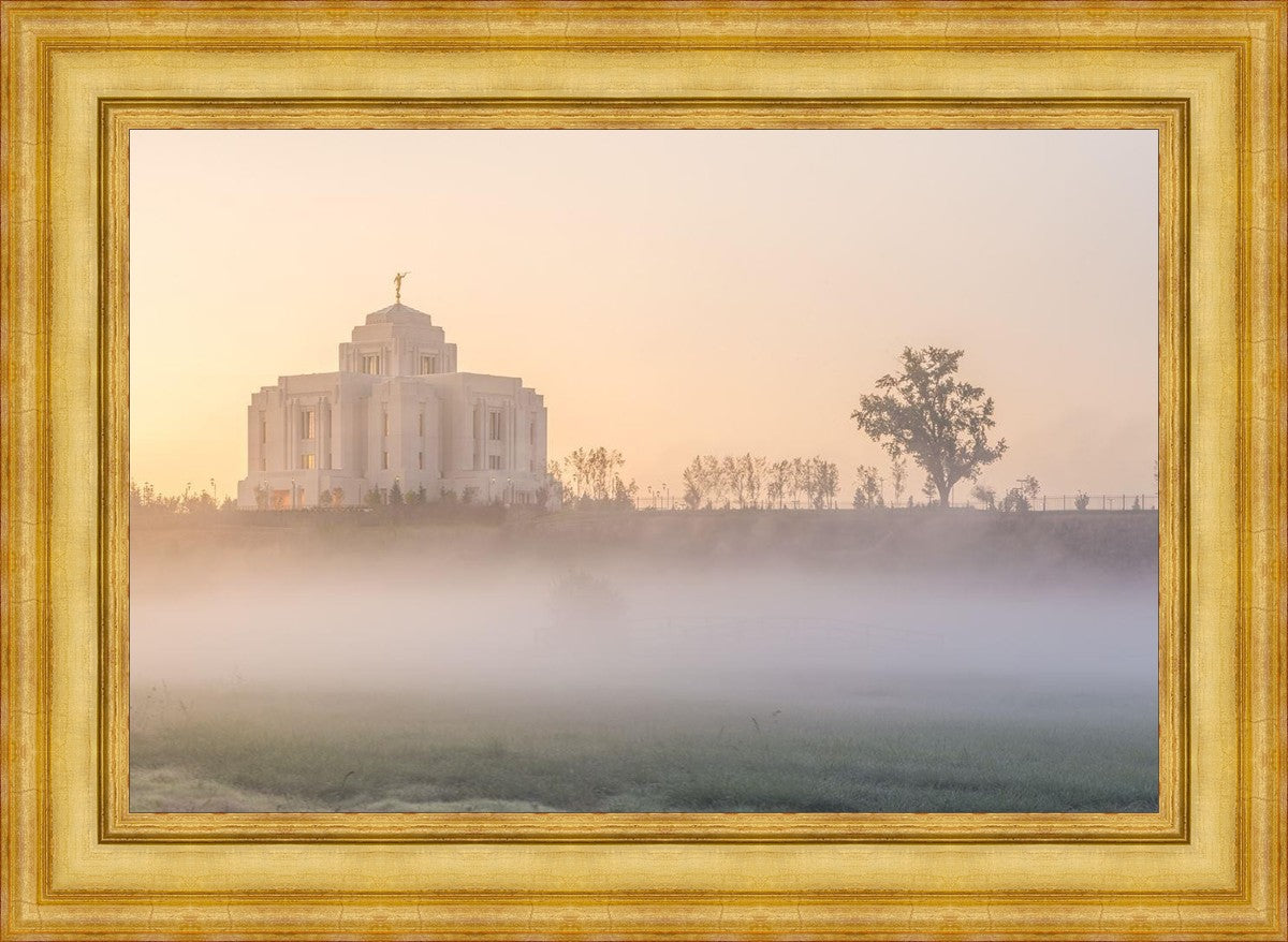 Meridian Morning Fog