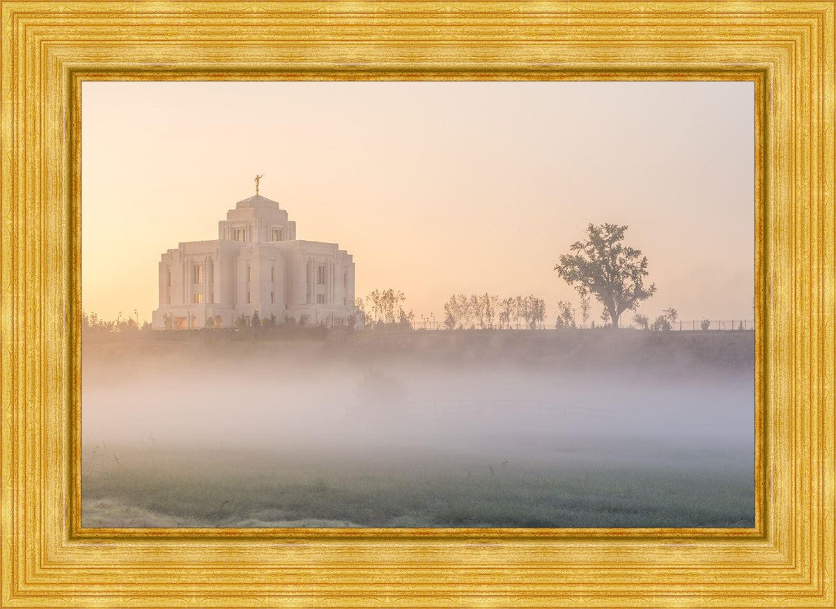 Meridian Morning Fog