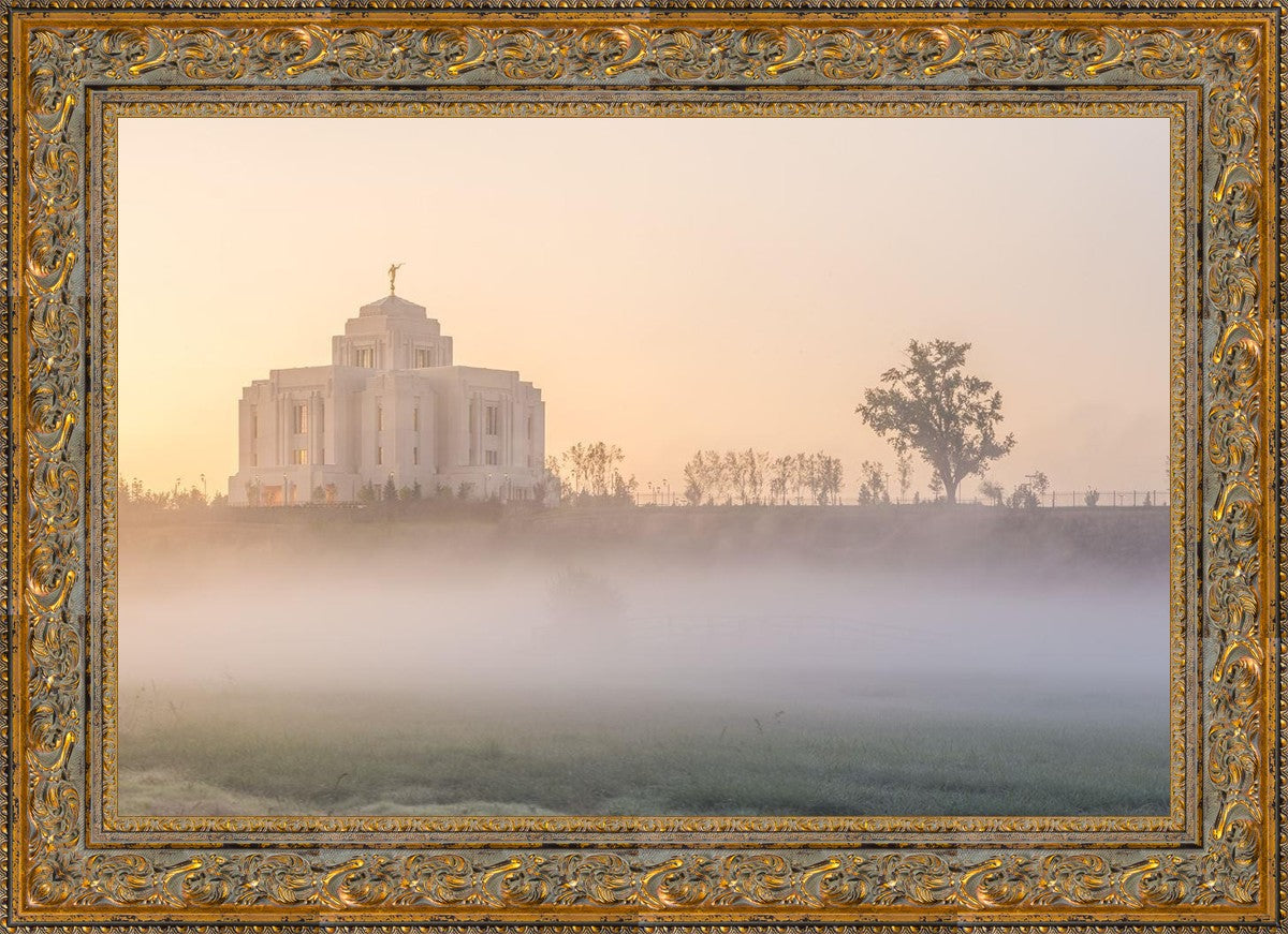 Meridian Morning Fog