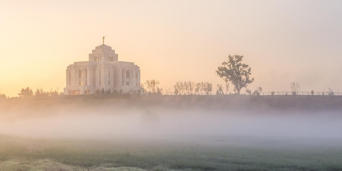 Meridian Morning Fog Gallery Wrap