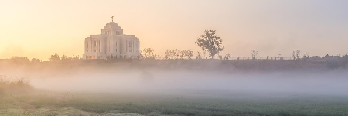 Meridian Morning Fog Gallery Wrap