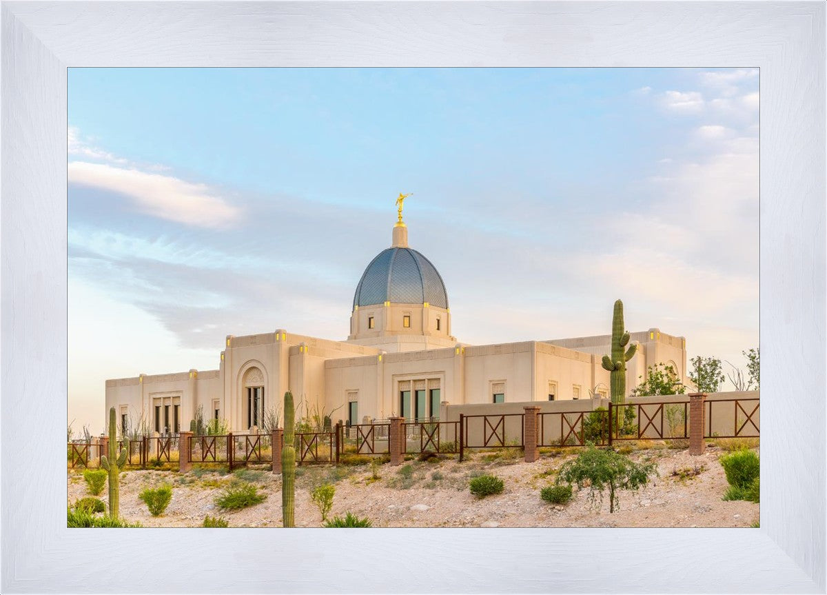 Tucson Peaceful Morning