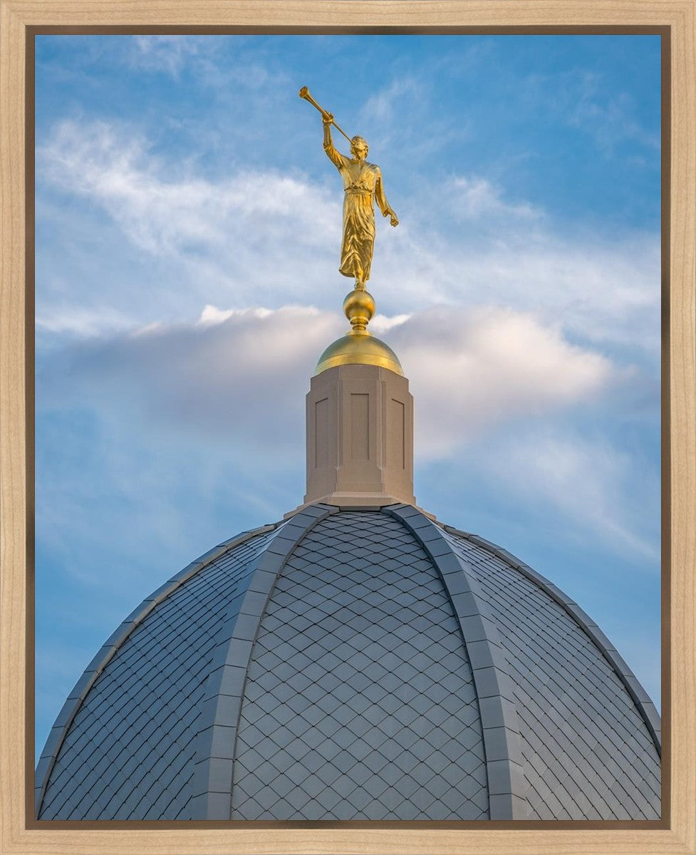 Tucson Moroni Dome Gallery Wrap