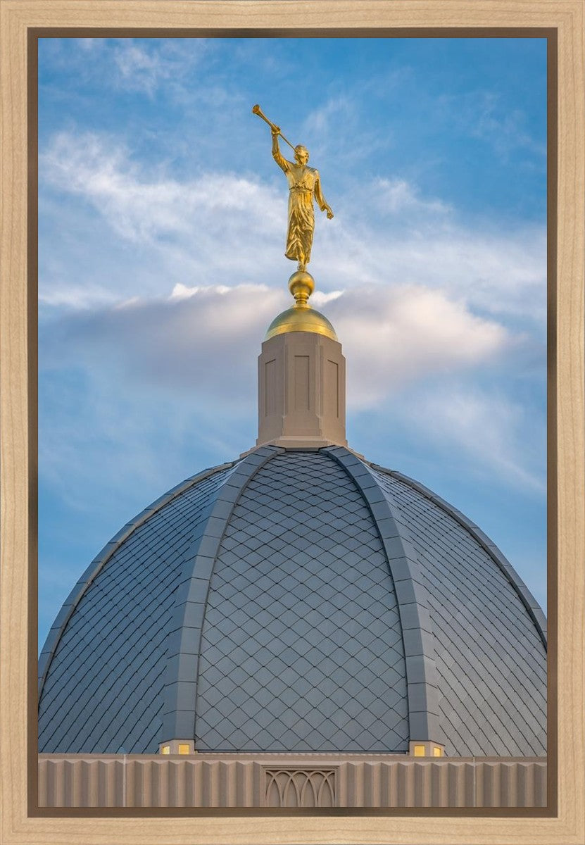 Tucson Moroni Dome Gallery Wrap