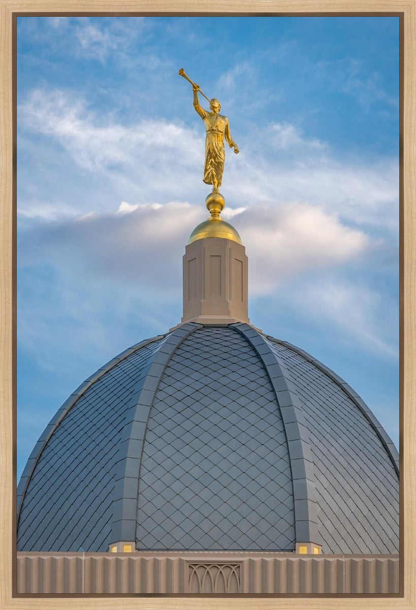 Tucson Moroni Dome Gallery Wrap