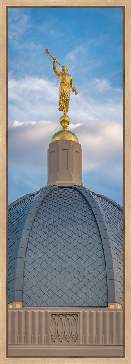 Tucson Moroni Dome Gallery Wrap