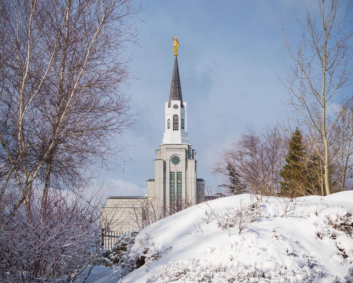 Boston Morning Snow Horizontal Gallery Wrap
