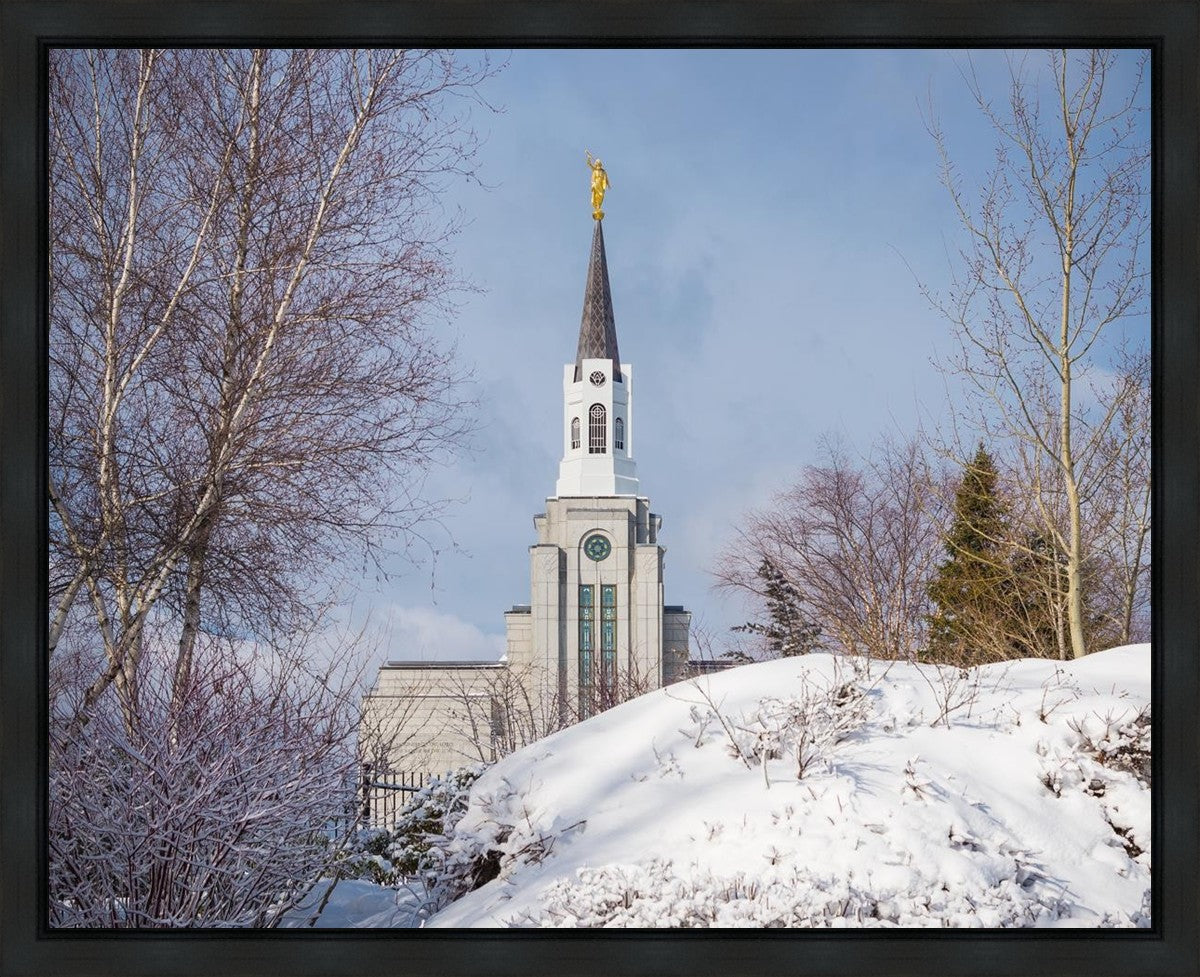 Boston Morning Snow Horizontal Gallery Wrap