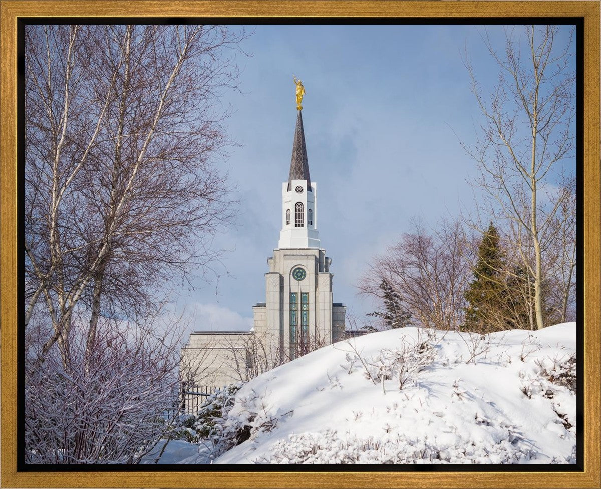Boston Morning Snow Horizontal Gallery Wrap
