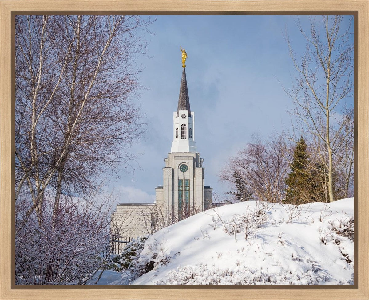 Boston Morning Snow Horizontal Gallery Wrap