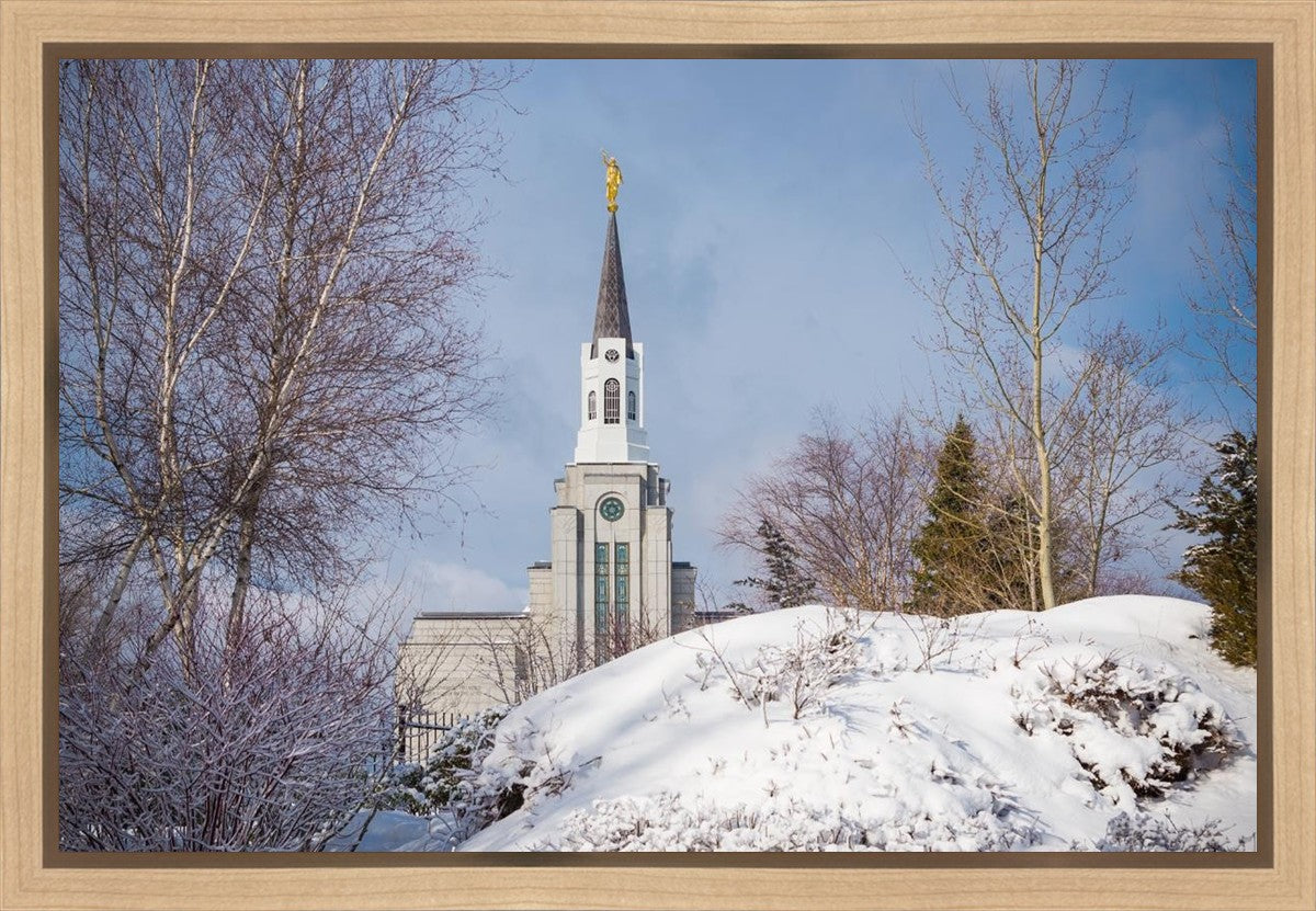 Boston Morning Snow Horizontal Gallery Wrap