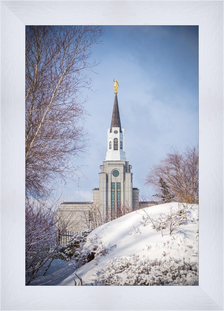 Boston Morning Snow Vertical