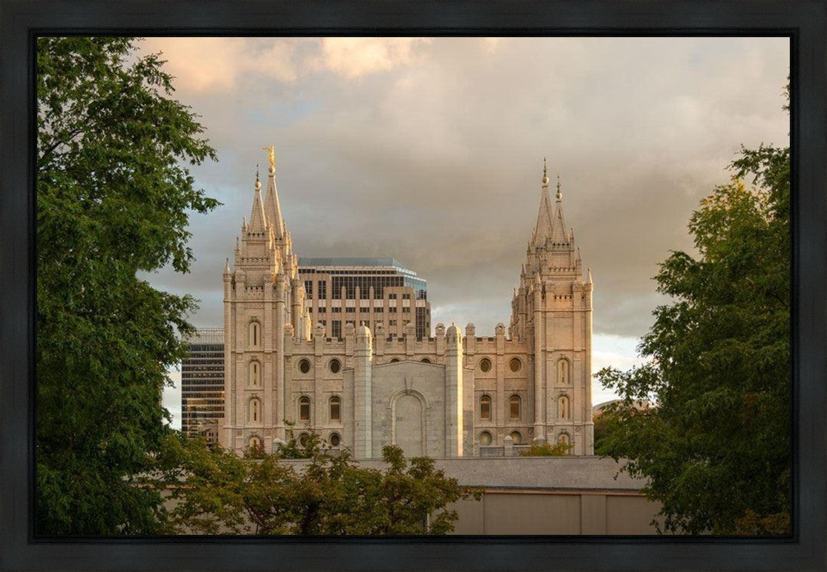 Salt Lake Golden Foundations Gallery Wrap