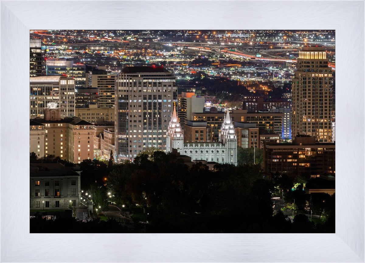 Salt Lake Temple City View