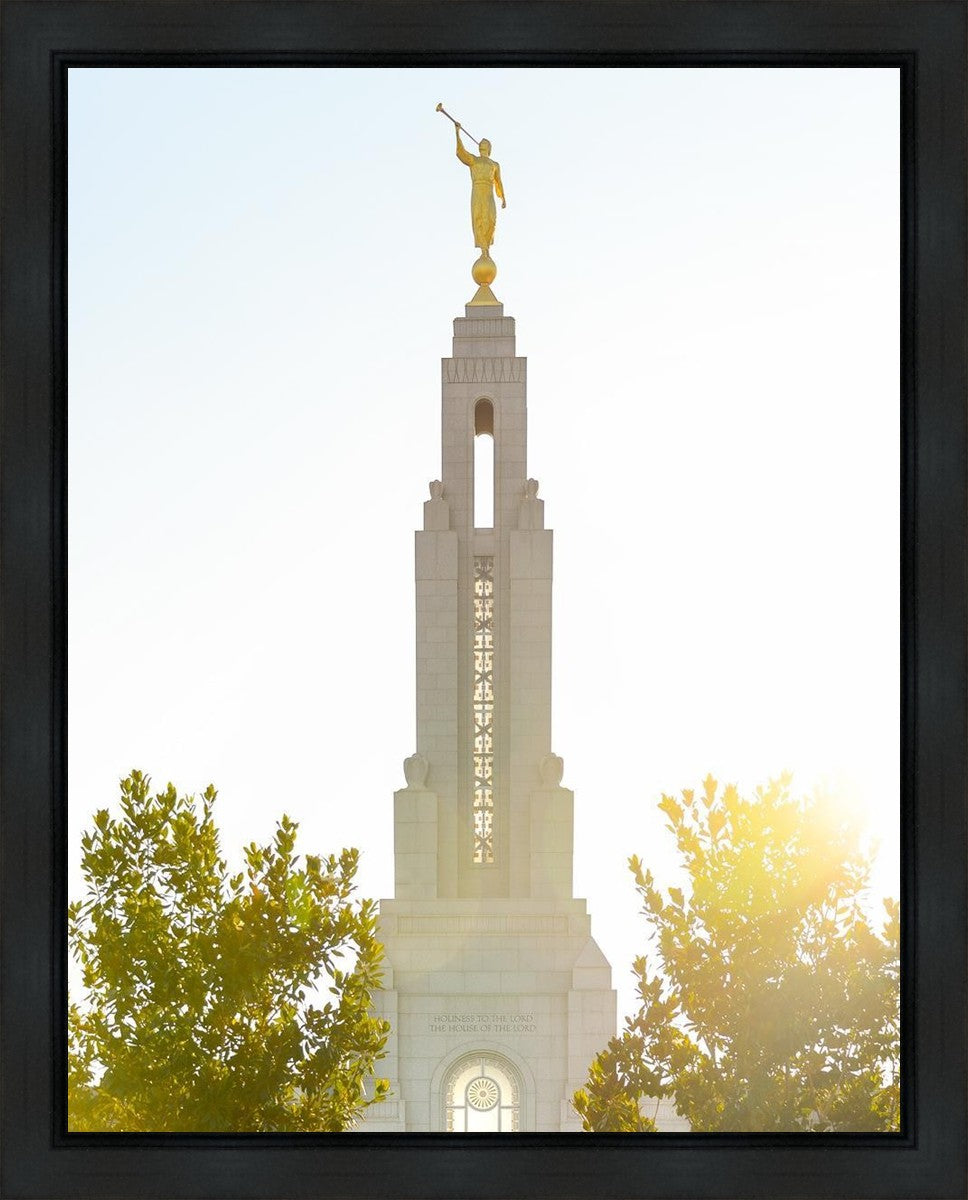 Redlands Temple Heavenly Glow Gallery Wrap