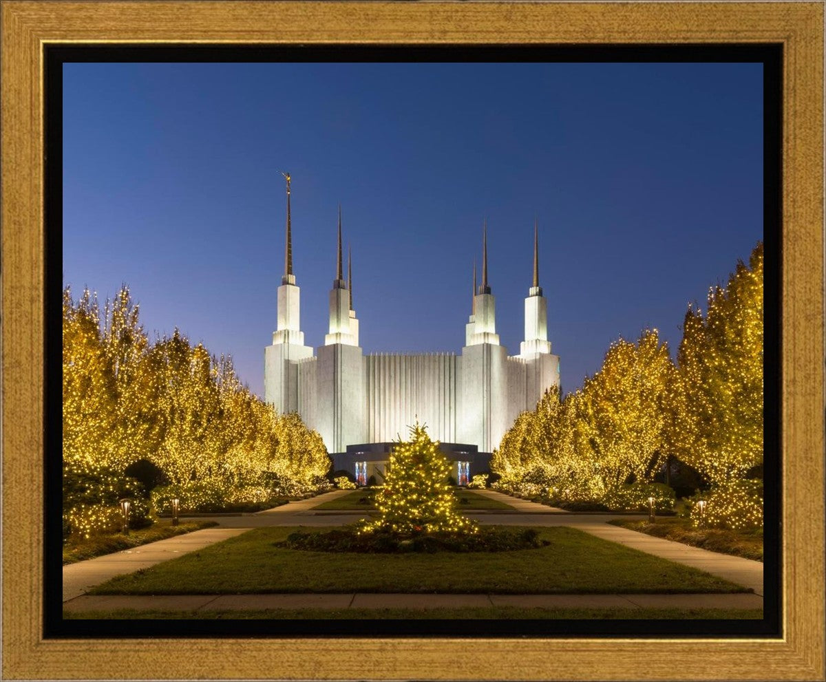 Washington DC Golden Christmas Gallery Wrap