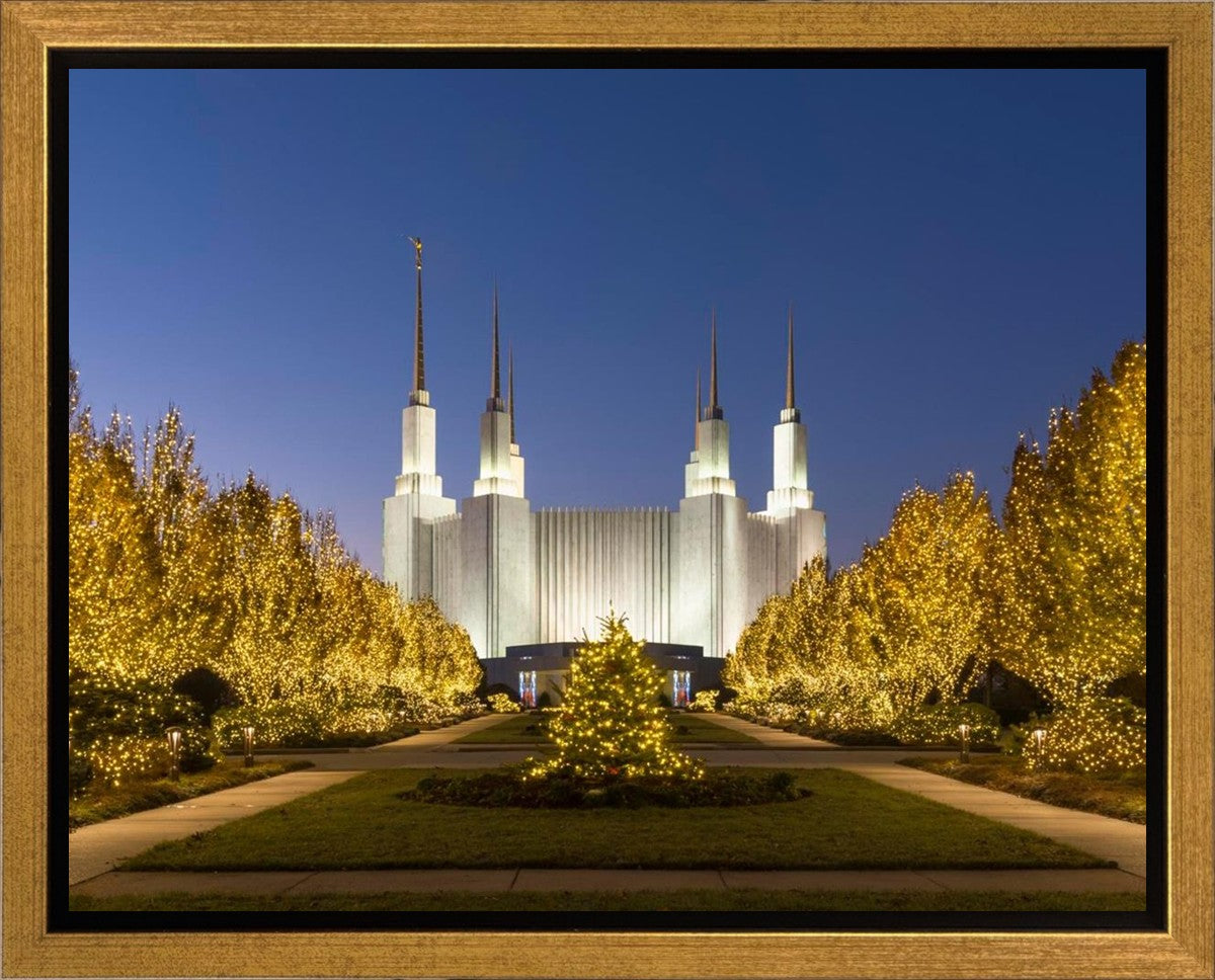 Washington DC Golden Christmas Gallery Wrap