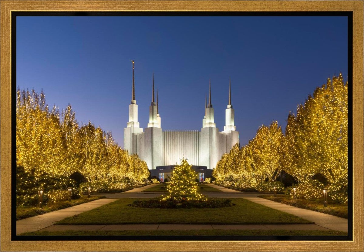 Washington DC Golden Christmas Gallery Wrap