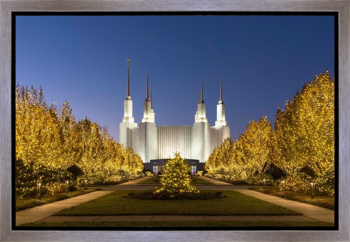 Washington DC Golden Christmas Gallery Wrap