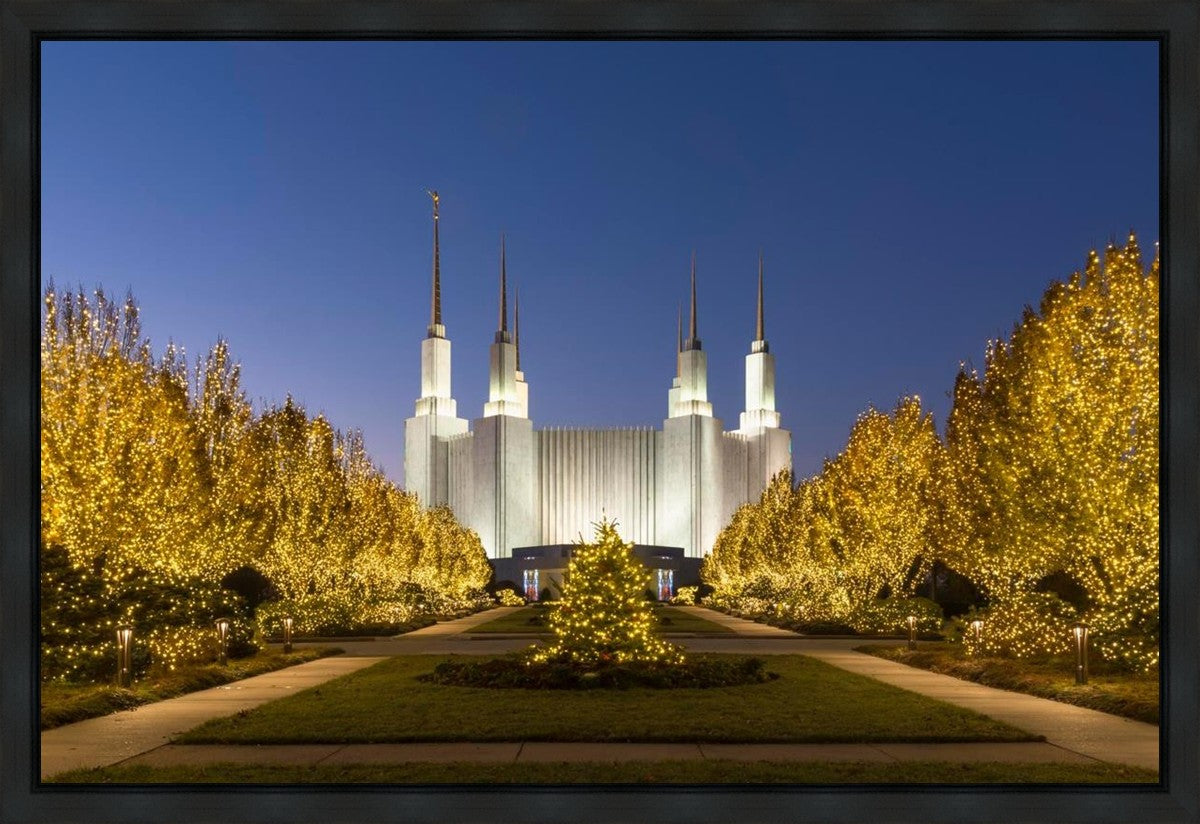 Washington DC Golden Christmas Gallery Wrap
