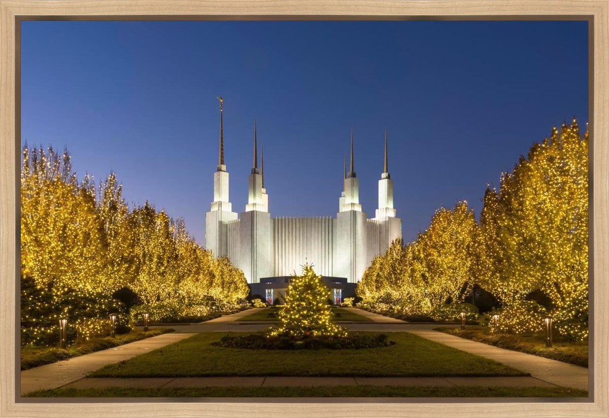 Washington DC Golden Christmas Gallery Wrap