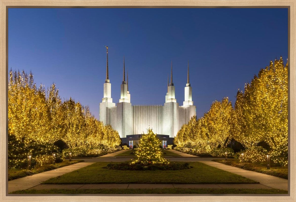 Washington DC Golden Christmas Gallery Wrap