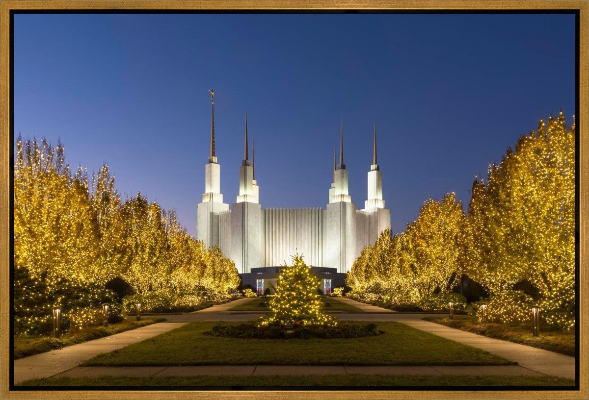 Washington DC Golden Christmas Gallery Wrap