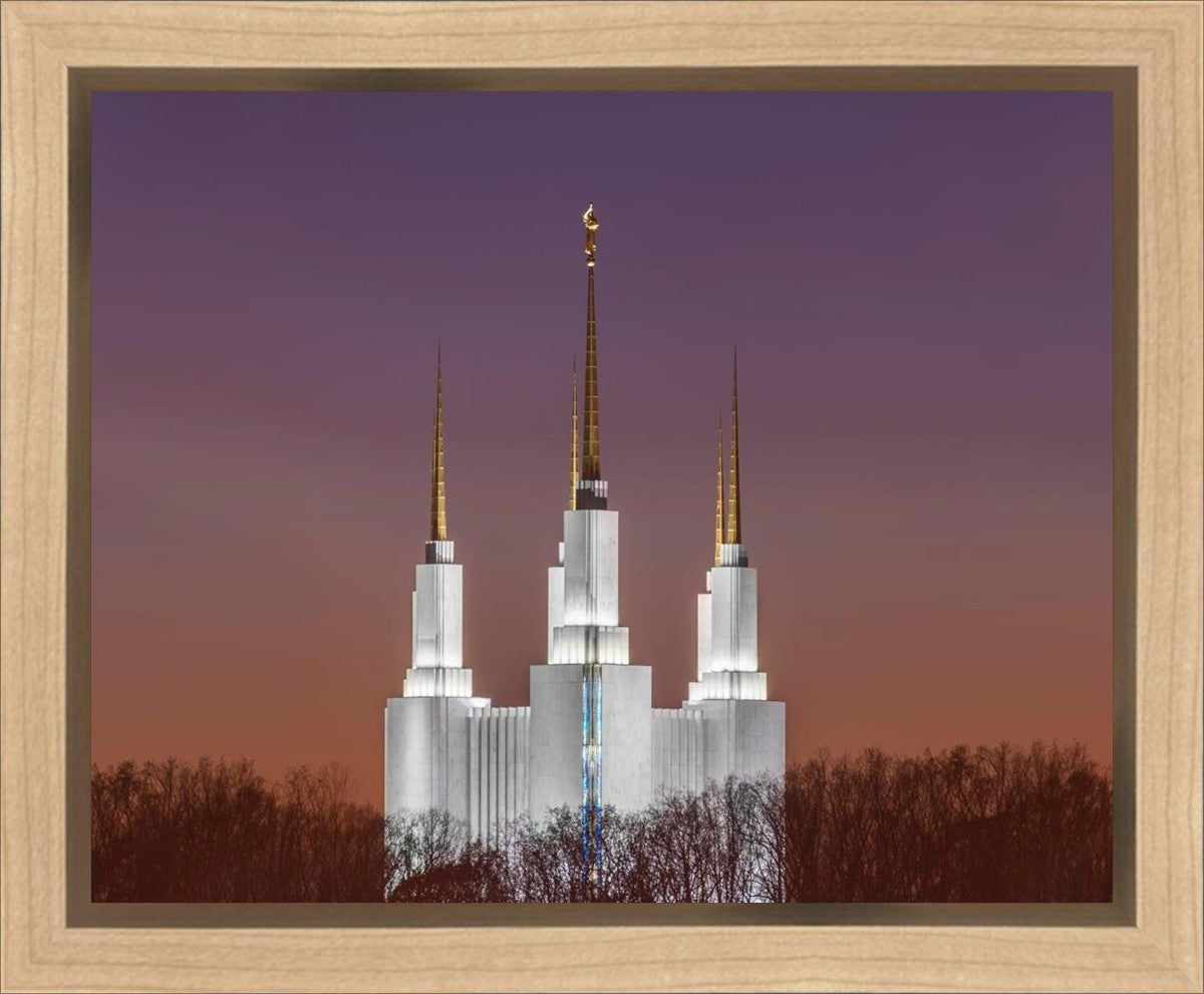 Washington DC Temple Evening Glow Gallery Wrap
