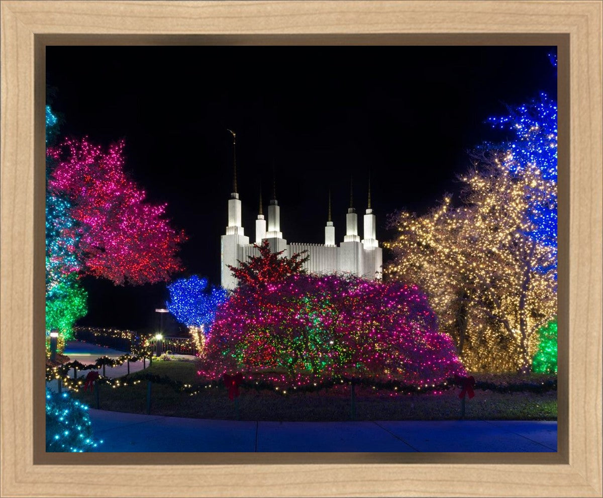 Washington DC Temple Colorful Christmas Gallery Wrap