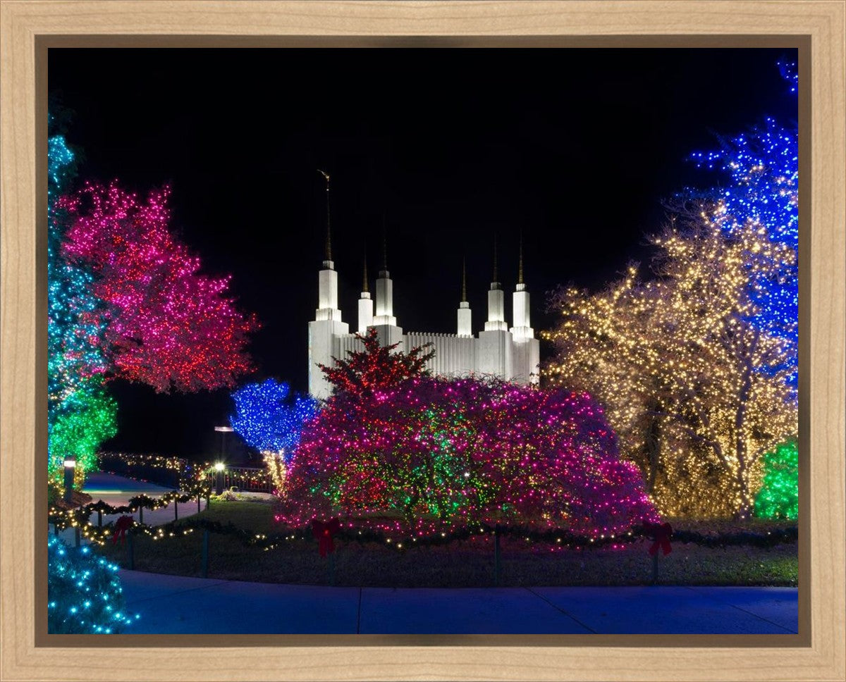 Washington DC Temple Colorful Christmas Gallery Wrap