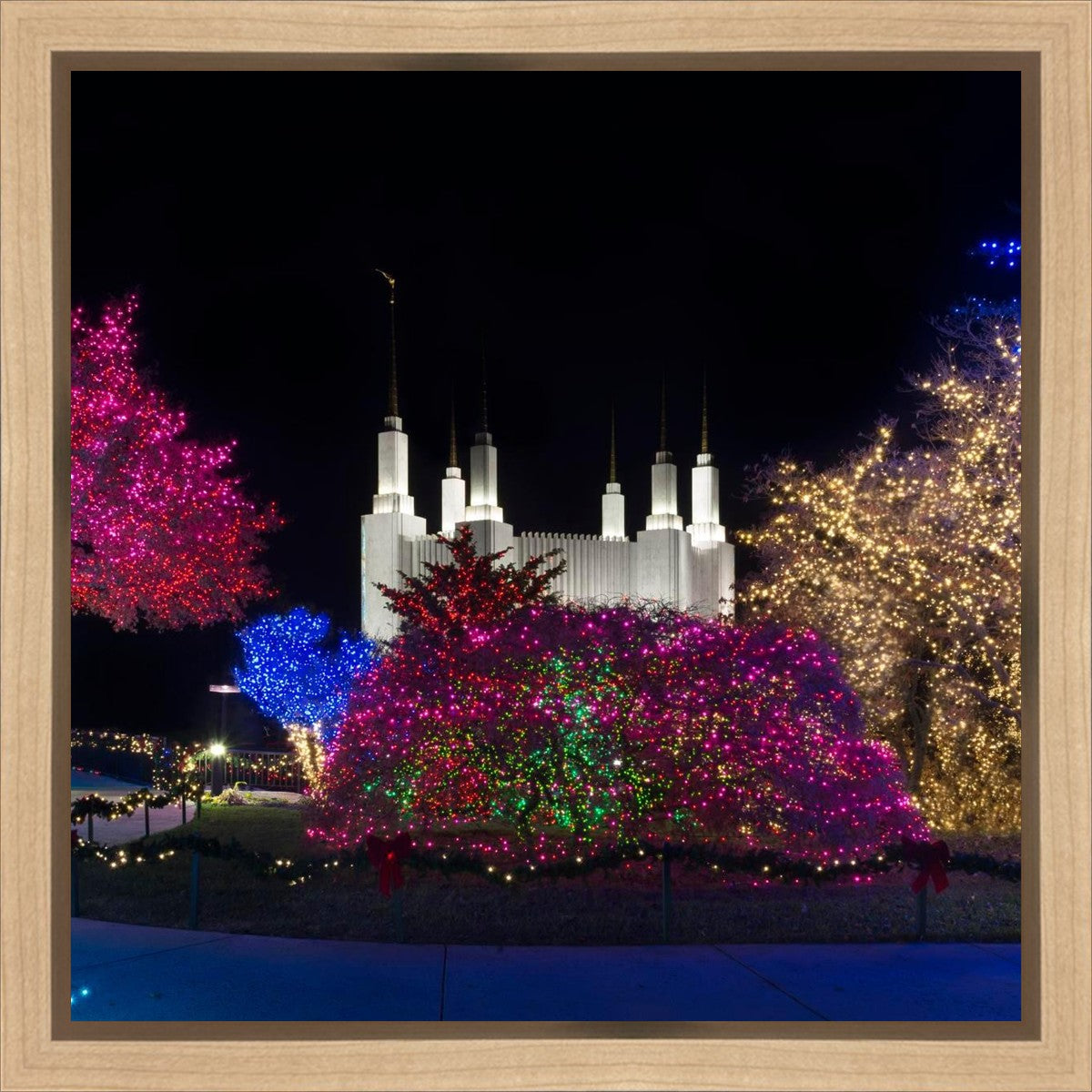 Washington DC Temple Colorful Christmas Gallery Wrap