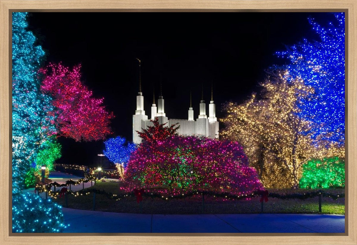 Washington DC Temple Colorful Christmas Gallery Wrap