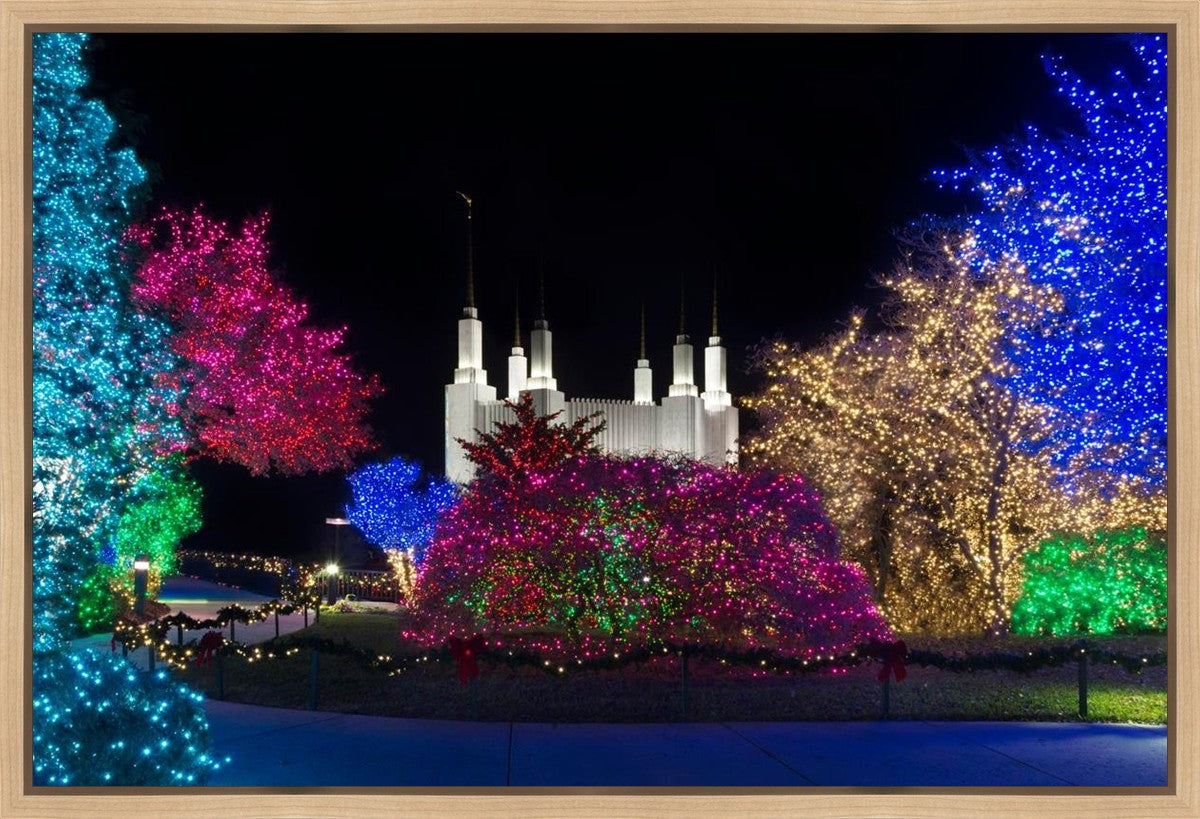 Washington DC Temple Colorful Christmas Gallery Wrap