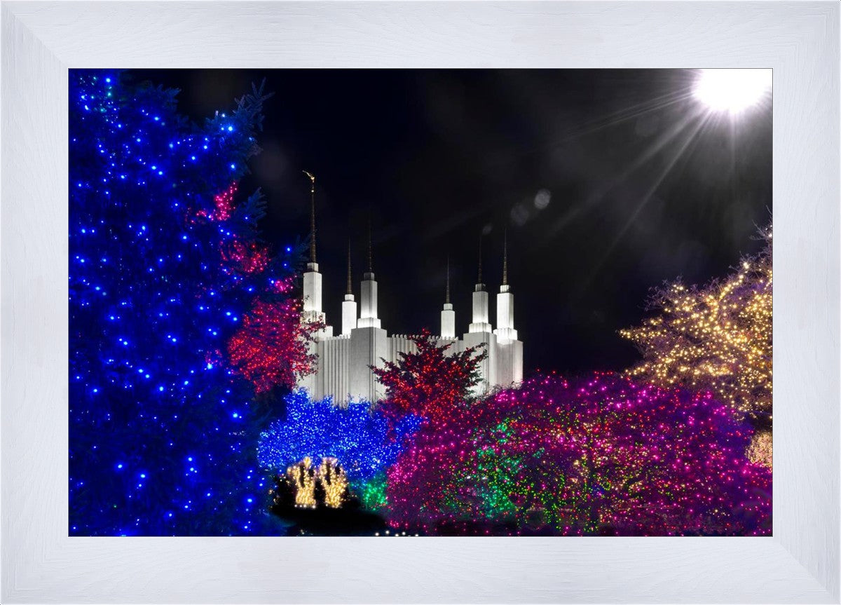 Washington DC Temple Christmas Spirit