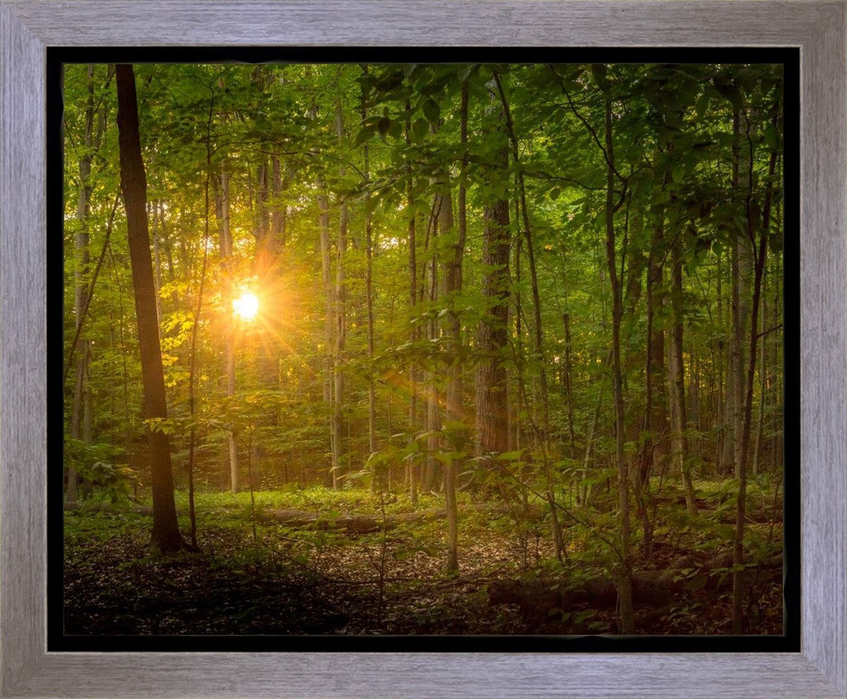 Suddenly A Light Descended